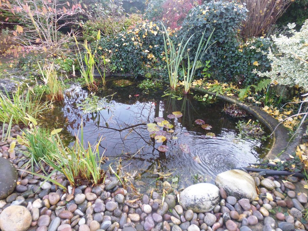 Pond repairs Surrey