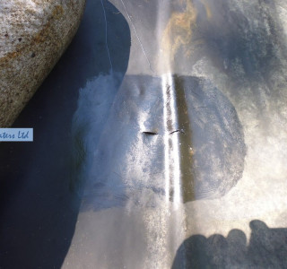 Pond maintenance in Oxshott, Surrey KT22