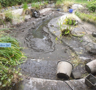 Pond servicing - Addlestone, Surrey KT15