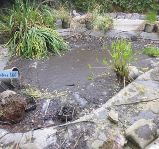Pond maintenance - Horsley, Surrey KT24