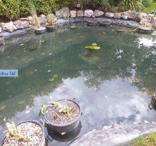 Pond cleaning - Ashtead, Surrey KT21