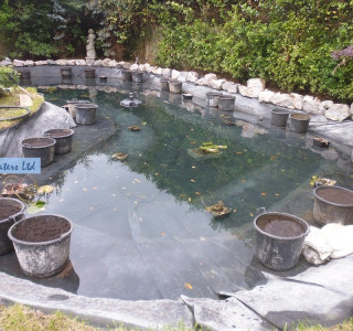 Pond servicing - Sunbury, Middlesex TW16