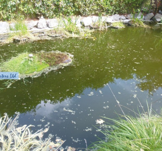 Pond refurbishment - Fetcham, Surrey KT22