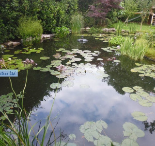 Pond maintenance - Bookham, Surrey KT23
