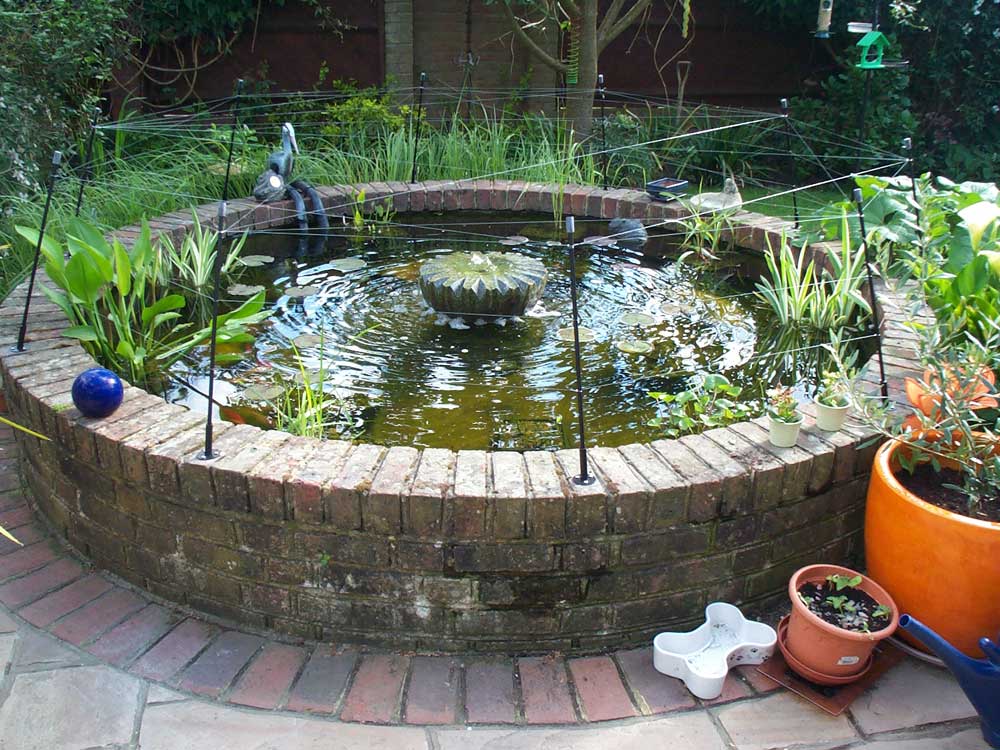 Pond Cleaning Surrey