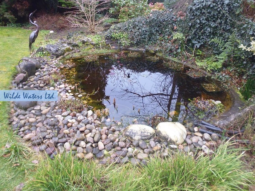 Pond cleaning in Weybridge, Surrey KT13