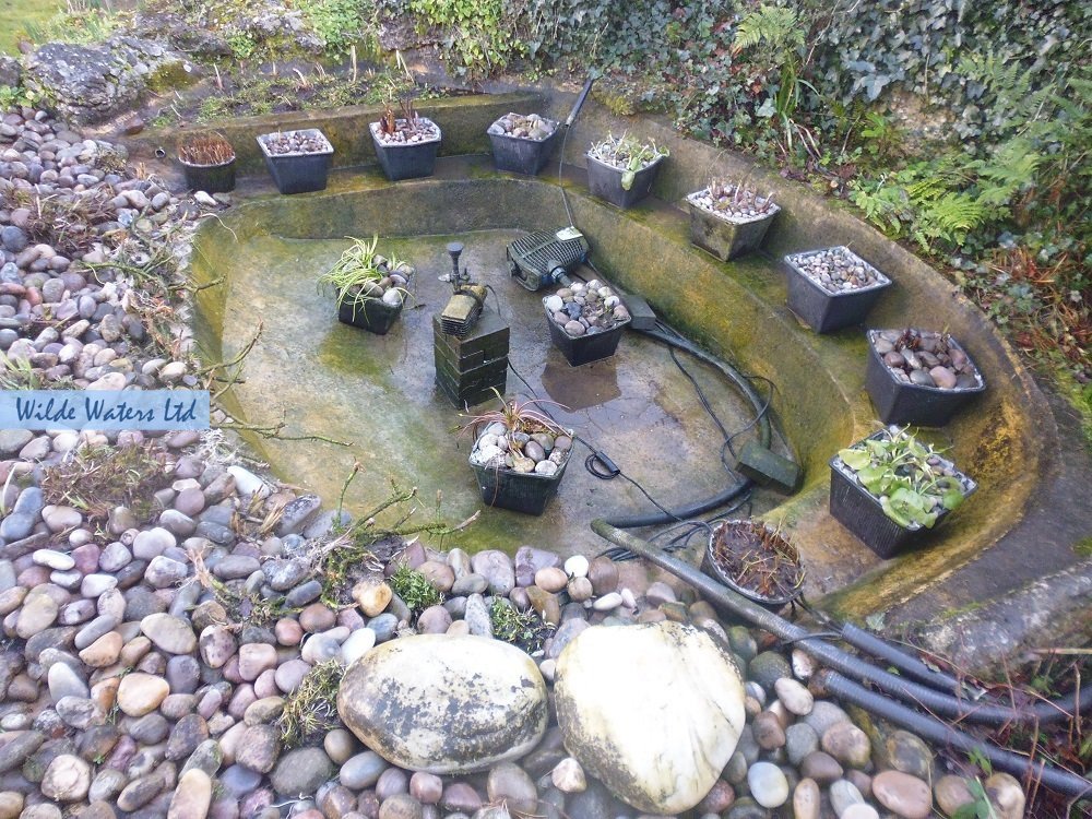 Pond refurbishment in Woking, Surrey KT15